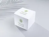فنجان حلوى بينونه
